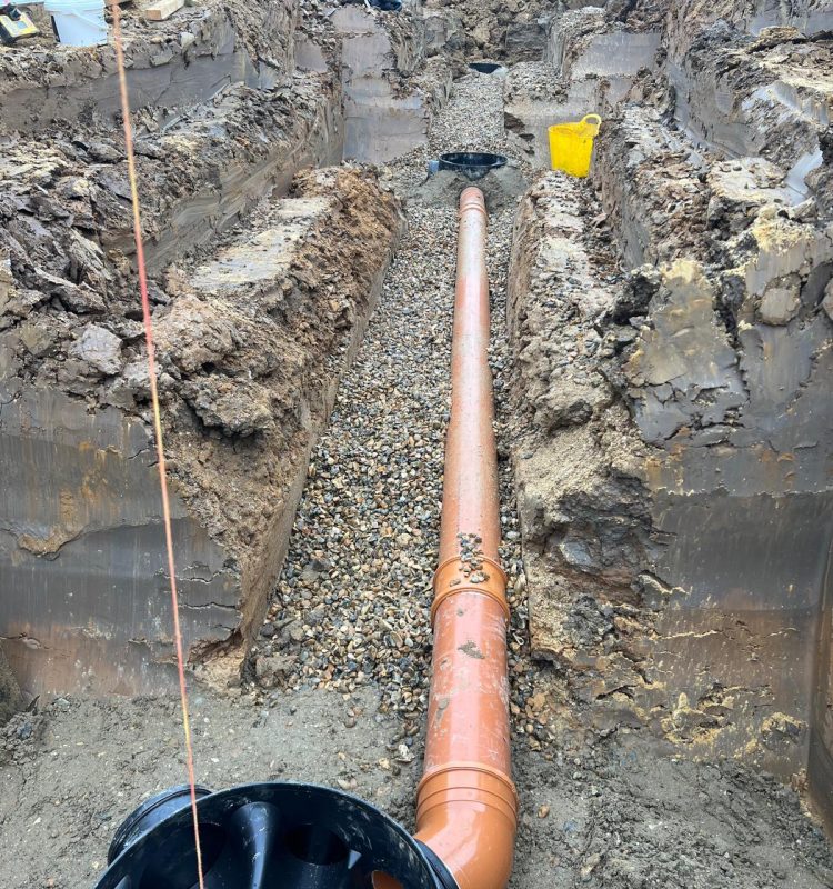 WhatsApp Image 2025-08-23 at 17.08.42 (1)